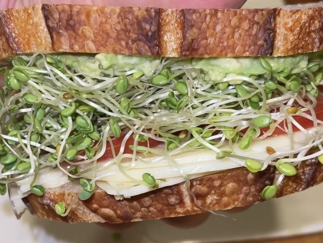 A photo showing how to eat sprouts on a sandwich.